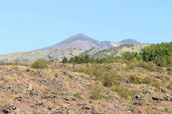 Mount etna — Stock fotografie