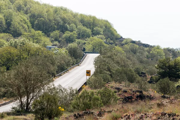 Yalnız dağ yolu — Stok fotoğraf