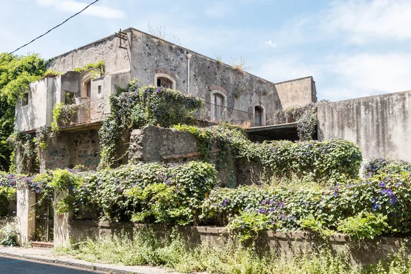 Vecchia casa coperta di vegetazione — Foto Stock