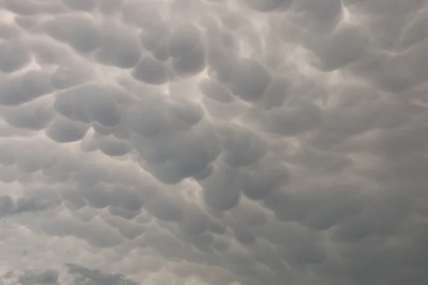 Makrelenhimmel Stockbild