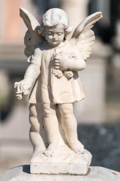 Estatua de ángel — Foto de Stock