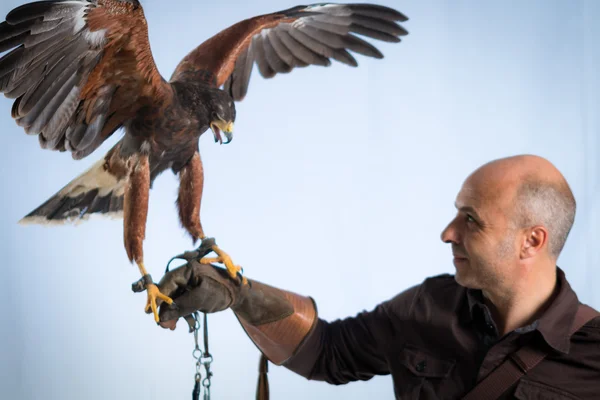 Man and buzzanrd — Stock Photo, Image