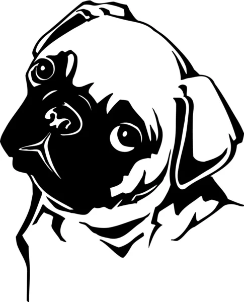 Pug Head — Stock Vector