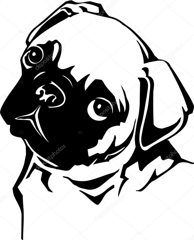 Pug Face Line Drawing : Pug head — stock vector alliedcomputergraphics