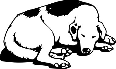köpek uyurken