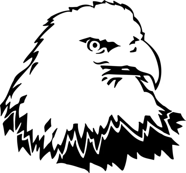 Bald Eagle — Stock Vector