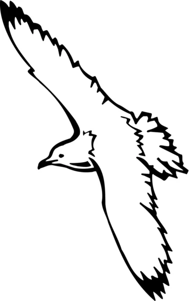 Gaviota — Vector de stock