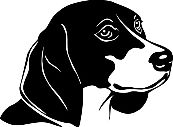 Beagle. — Vector de stock