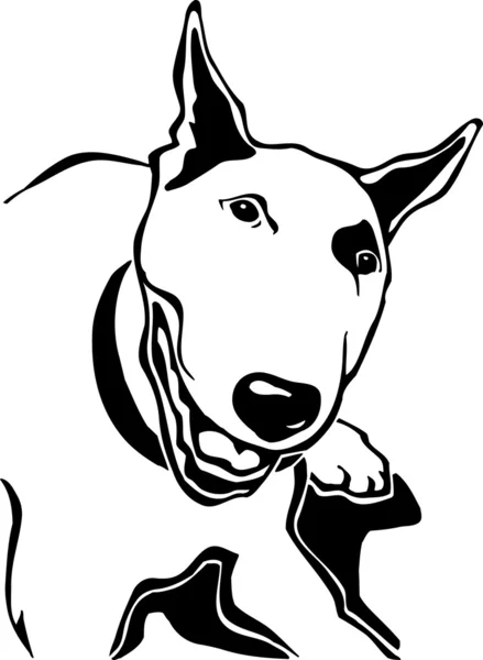 Toro terrier — Vector de stock