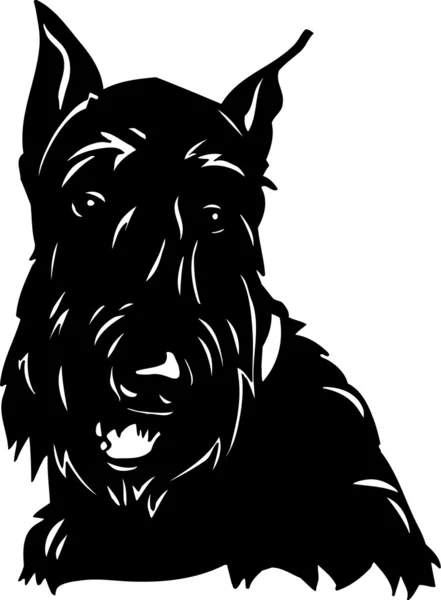 Terrier écossais — Image vectorielle