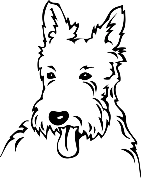 West Highland terrier — Vector de stock