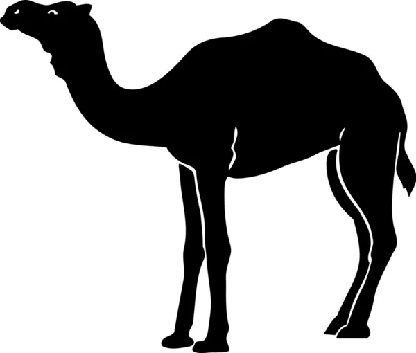 Camel — Stock Vector