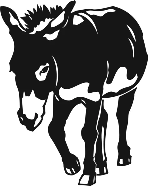 Burro. — Vector de stock