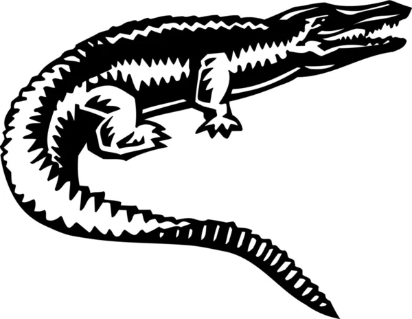 Alligator — Image vectorielle