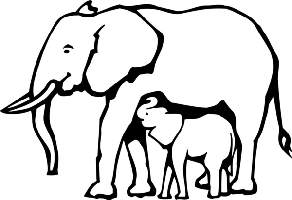 Elefanter — Stock vektor