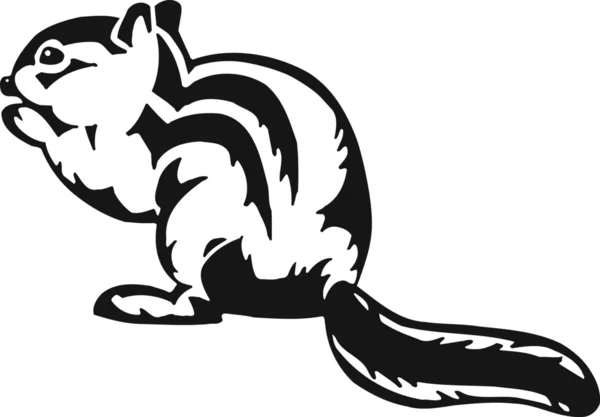 Streifenhörnchen — Stockvektor