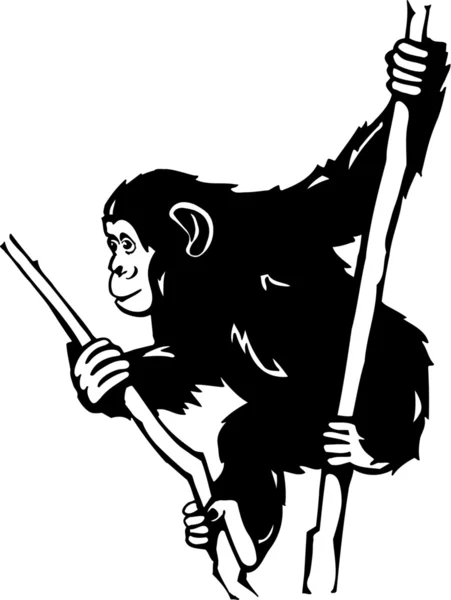 チンパンジー- — ストックベクタ