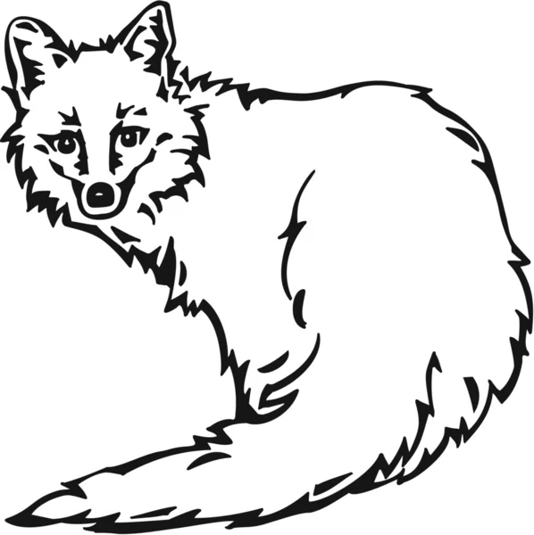 Illustrazione Fox — Vettoriale Stock