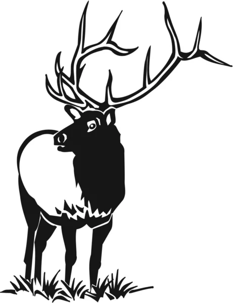 Elk Illustration — Stock Vector
