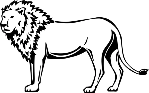 Löwe — Stockvektor