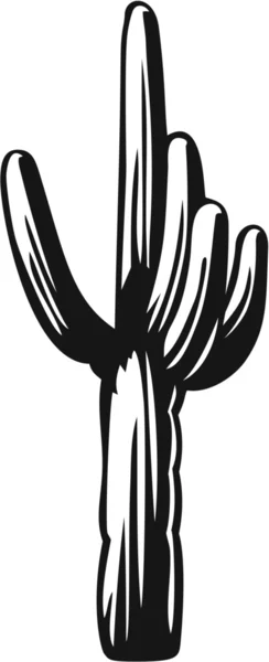 Saguaro kaktüsü — Stok Vektör