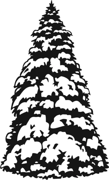 Sapin des neiges — Image vectorielle