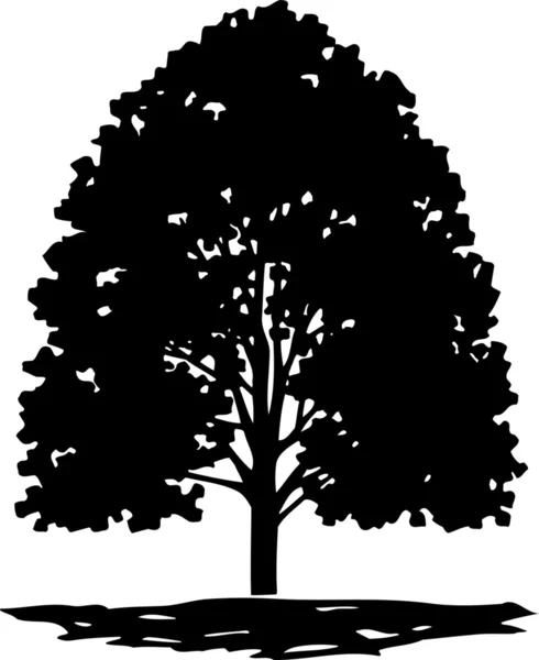 Pohon - Stok Vektor