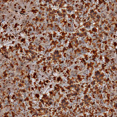 paslı metal sorunsuz doku kiremit