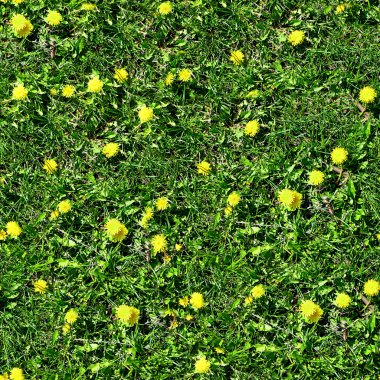 Karahindibalar Kusursuz Döşeme Döşemesi