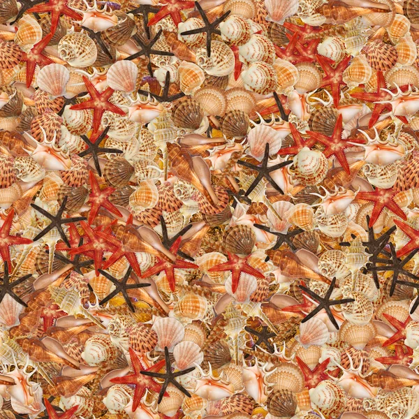 Seashells Безшовна текстура плитка — стокове фото