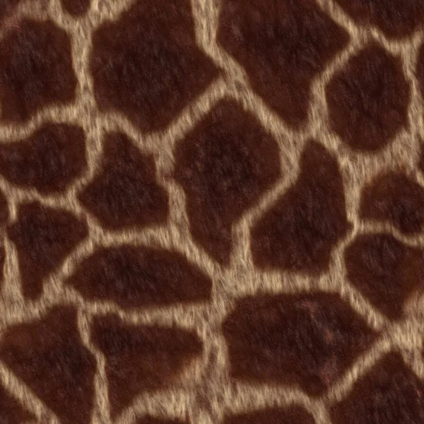 Giraffa pelliccia senza cuciture Texture Tile — Foto Stock