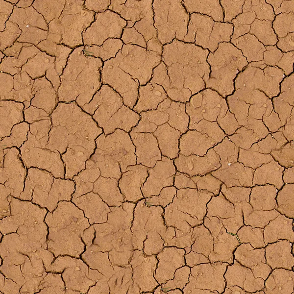 Terre fissurée tuile de texture sans couture — Photo