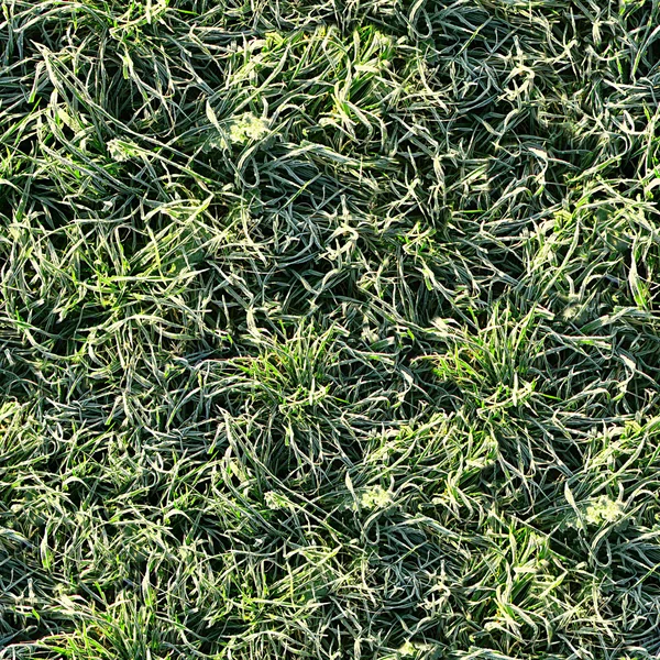 Травяная бесшовная текстурная плитка — стоковое фото