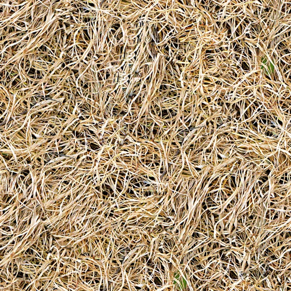 Ubin Tekstur Tanpa Laut Dry Grass — Stok Foto