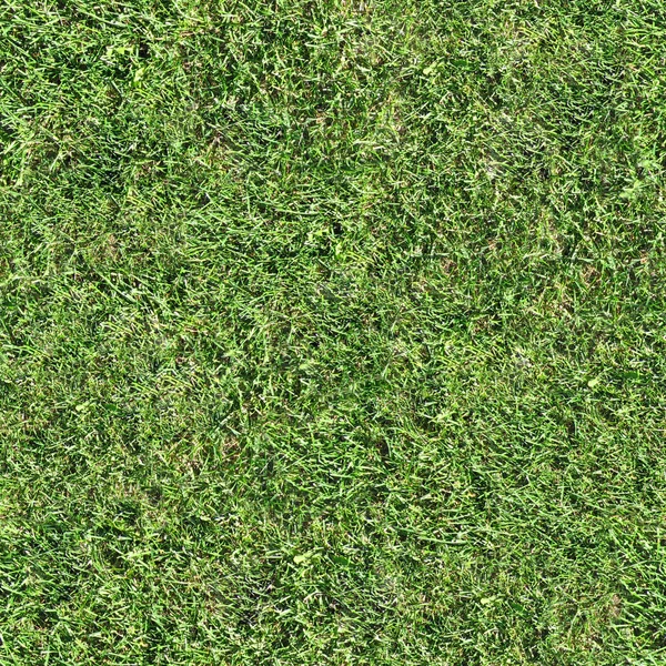 Grass Seamless Texture Tile — Stock Photo ©