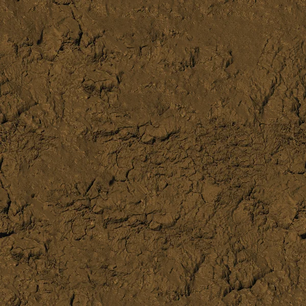 Mud Seamless Texture Tile — Stock Photo, Image
