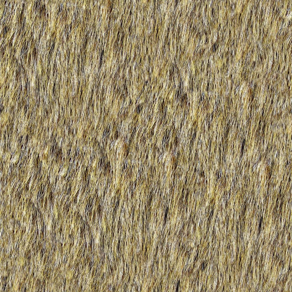 Animal Fur Seamless Texture Tile Stock Photo By C Alliedcomputergraphics Animal Fur Seamless Texture Tile Stock Photo By C Alliedcomputergraphics