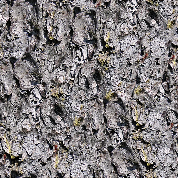 Trädet bark sömlös textur kakel — Stockfoto