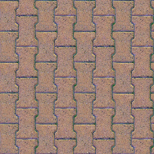 Pavers Seamless Texture Tile — Stock Photo, Image