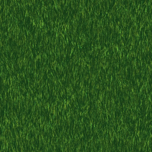 Gras nahtlose Texturfliese — Stockfoto