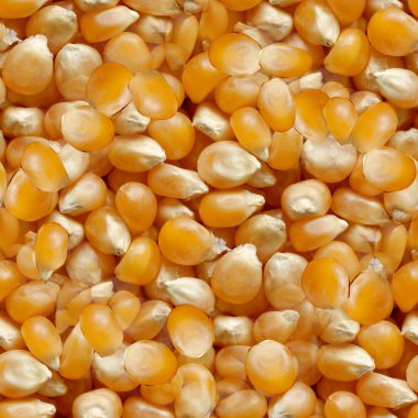 Mısır sorunsuz doku kiremit