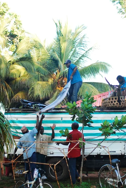 Fishermen — Stock Photo, Image