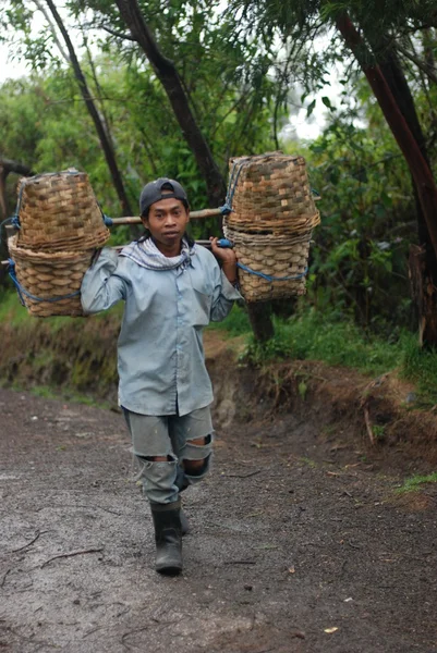 Zor iş. Kazanan kükürt