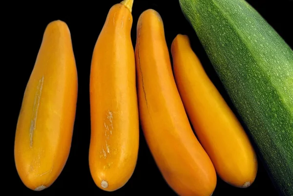 Sommerkürbis. Zucchin — Stockfoto