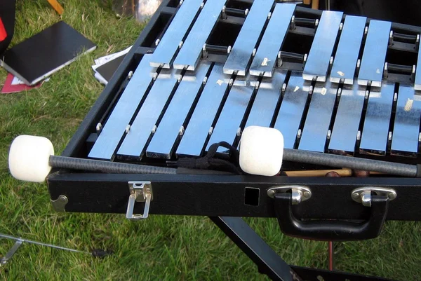 Xylophone musical instrument — Stock Photo, Image