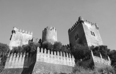 Castillo de Almodovar del Rio. Almodovar Castle Cordoba, İspanya