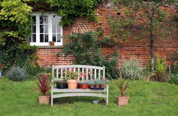 Растения и цветы в горшках на деревянной скамейке в саду — стоковое фото
