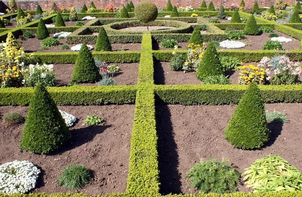Топіарій. садове мистецтво або дизайн саду — стокове фото