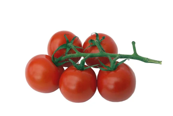 Tomaten — Stockfoto