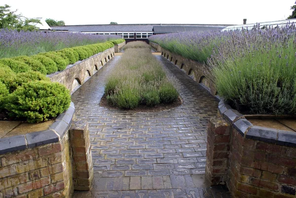 Garteneingang. Gartenweg. Gartenweg — Stockfoto